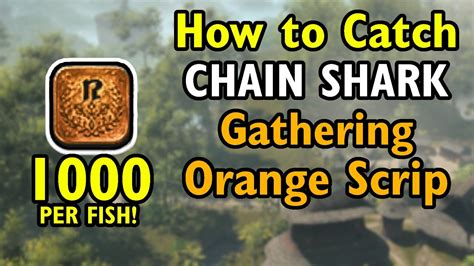 ff14 chain shark